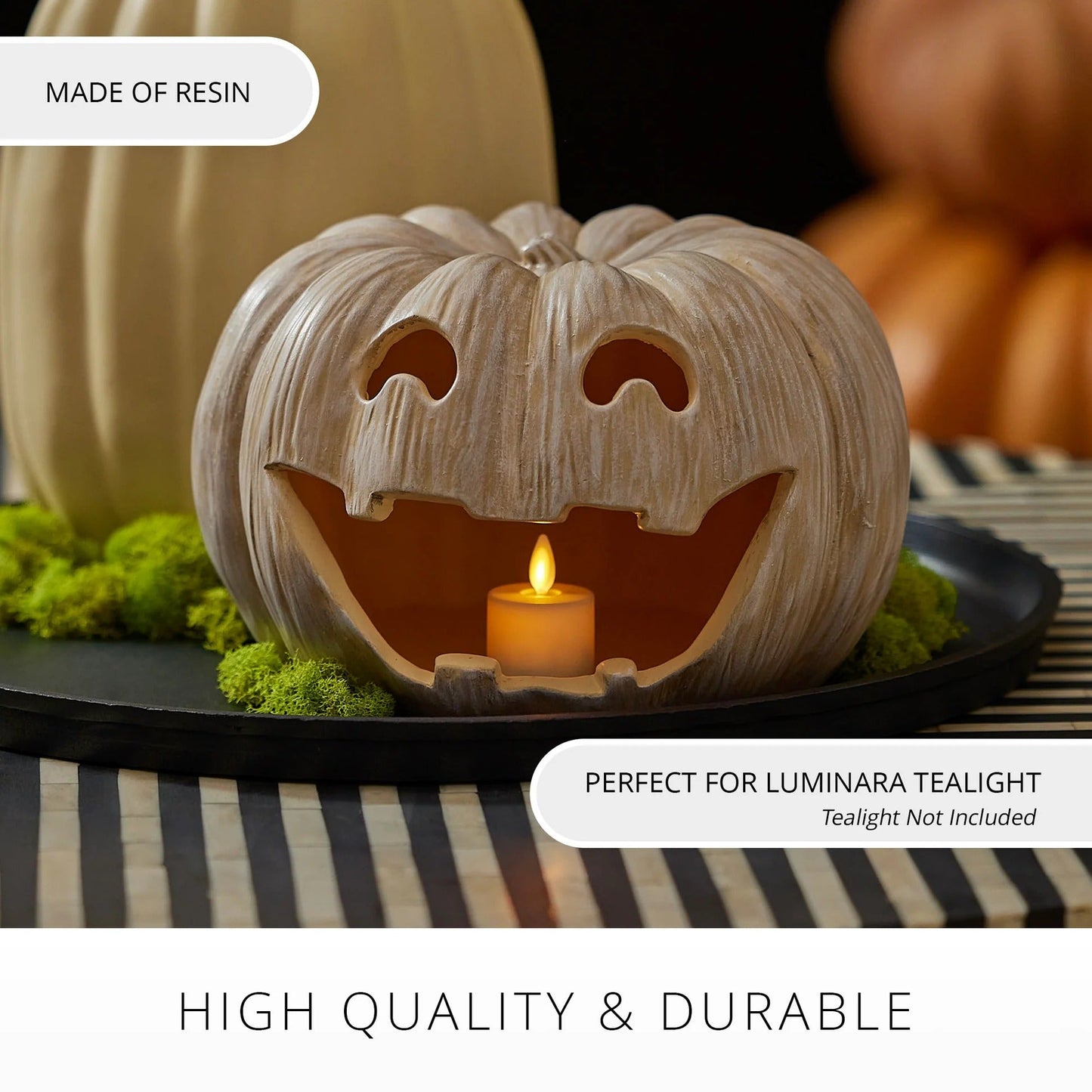 Perfectly Pale Jacx-o-lantern Pumpkin lealignt Holder